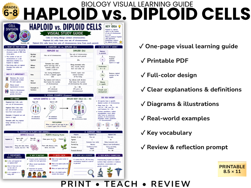 HAPLOID vs. DIPLOID CELLS | Biology Visual Learning Guide | Grade 8 & Middle School Science