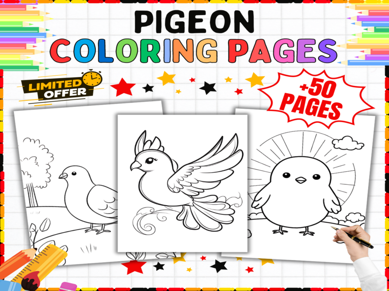 Bird Colouring Pages for Kids | Garden Wildlife Theme | Spring Nature Drawing Sheets Pack