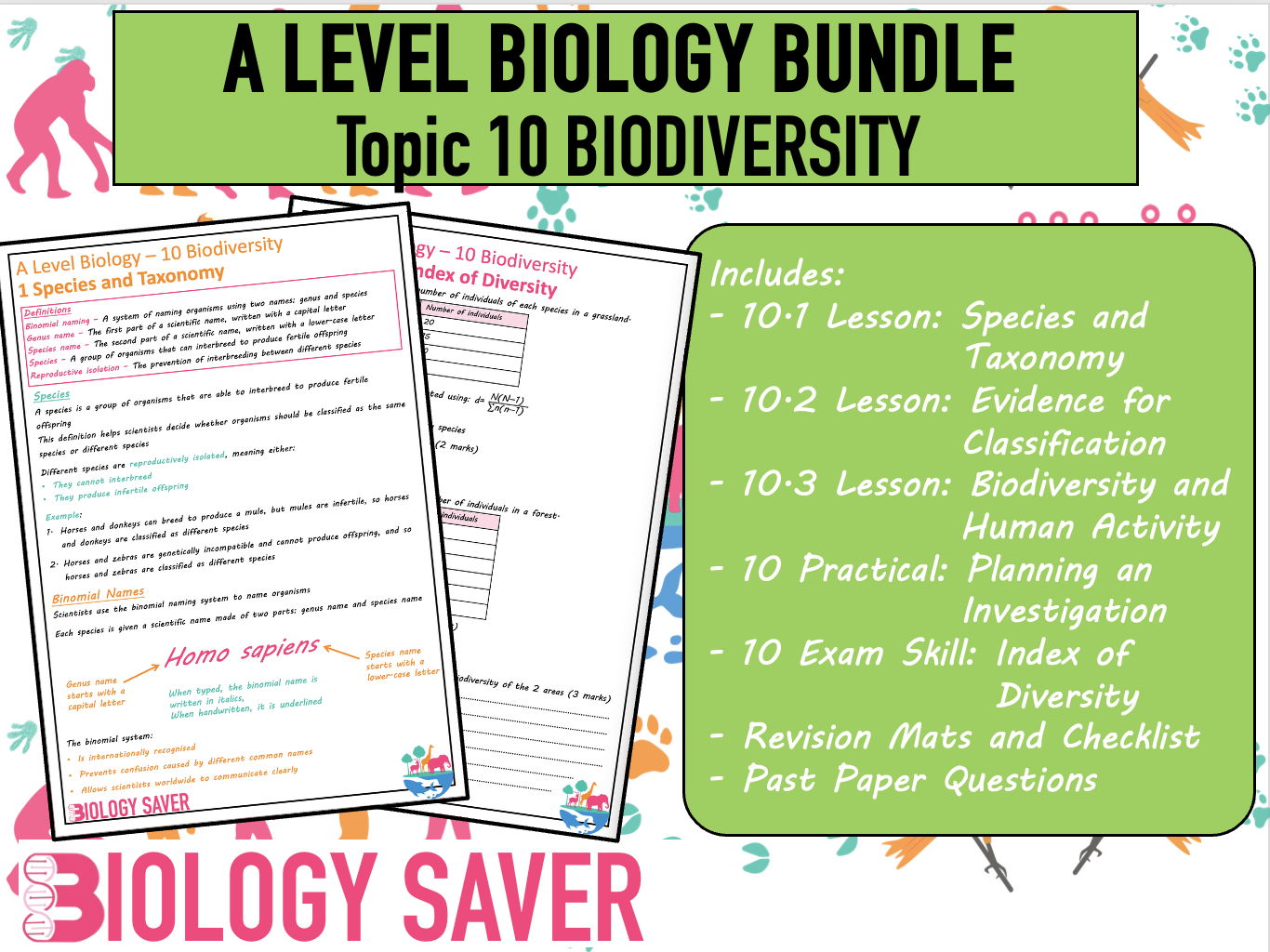 A Level Bio Bundle - 10 Biodiversity
