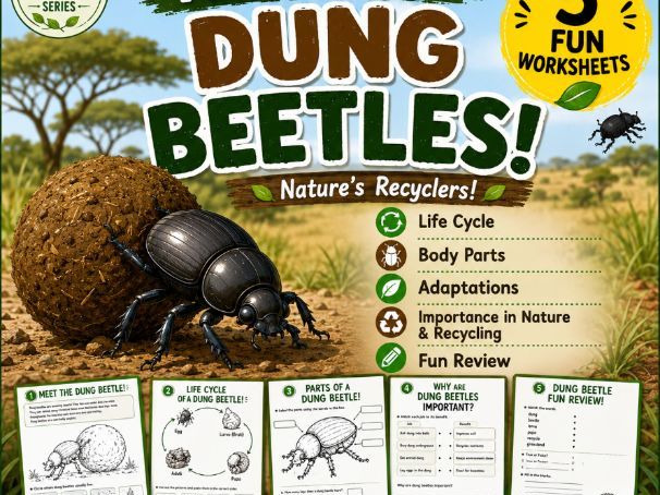 Amazing Dung Beetles | Science Worksheets |Adaptations & Anatomy | Ages 6-10