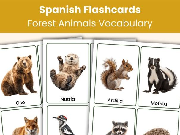 Spanish Forest Animlas Flashcards | Real Photo Vocabulary Cards | Printable Learning Resource
