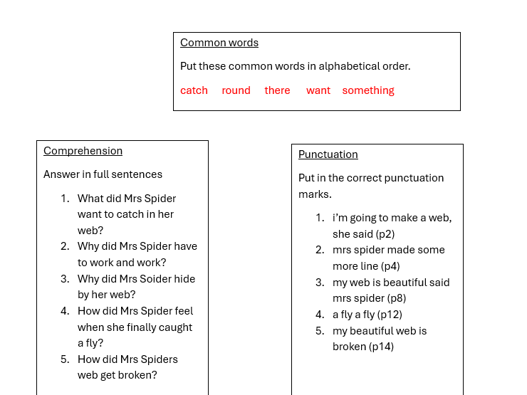 PM reading - Mrs Spiders Beautiful Web (Green)