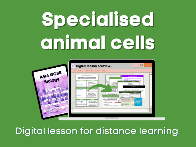 Specialised animal cells Distance learning