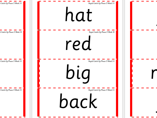 Rapid Catch Up Phase 2 Week 3 (supports Little Wandle)