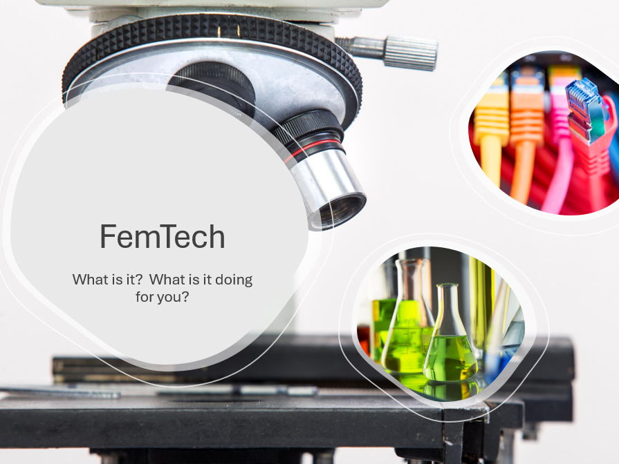FemTech Workshop