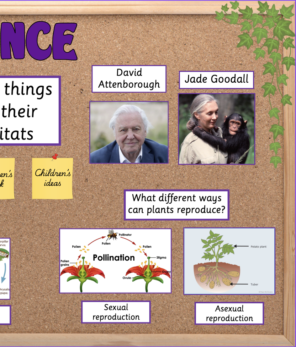 Living Things and Their Habitats Year 5 KS2 Science Display | Teaching ...