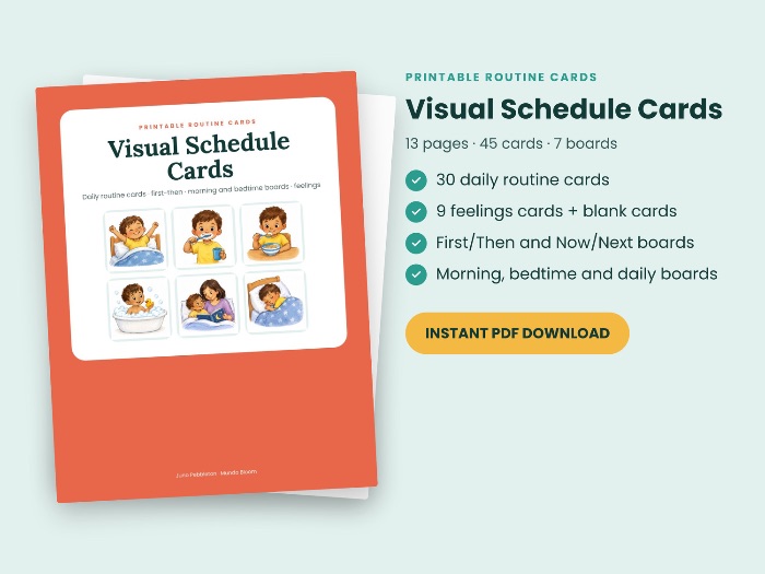Visual Timetable Cards, Now and Next Board, Feelings Cards