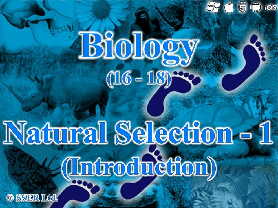BioA_3.4.4 Natural Selection - 1 (Introduction)