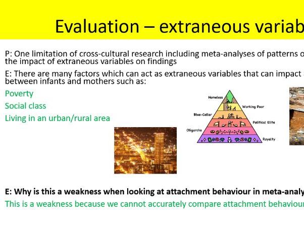 AQA Psychology cultural variations in attachment