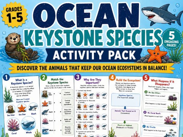 Ocean Keystone Species Activities | Marine Ecosystem Worksheets | Ocean Science