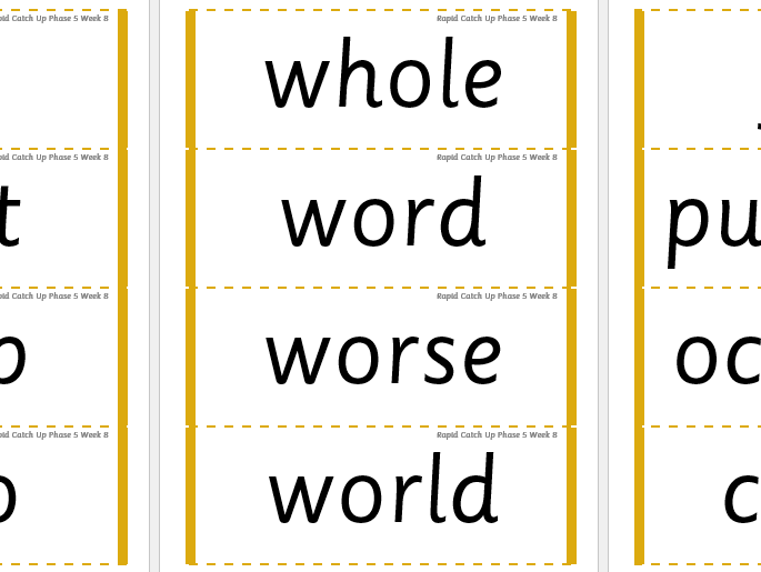 Rapid Catch Up Phase 5 Week 8 (Supports Little Wandle)