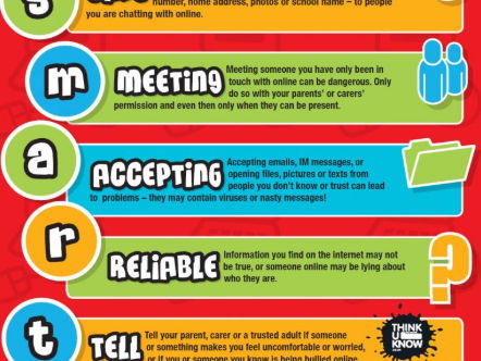 Digital Detectives- Online well-being and safety  Computing/ RSHE/ PSHE/ SEMH