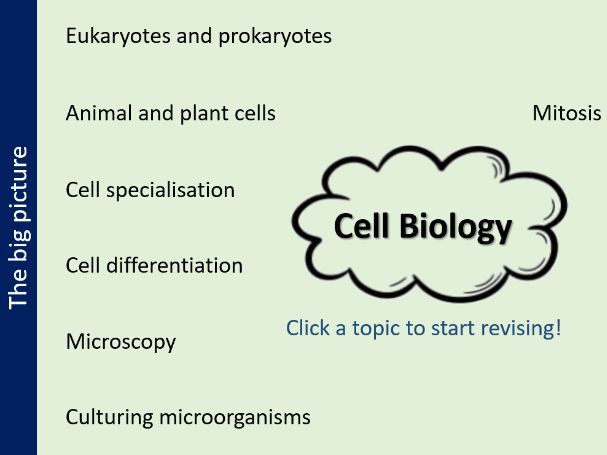 Cell Biology Revision/Intervention AQA GCSE Biology