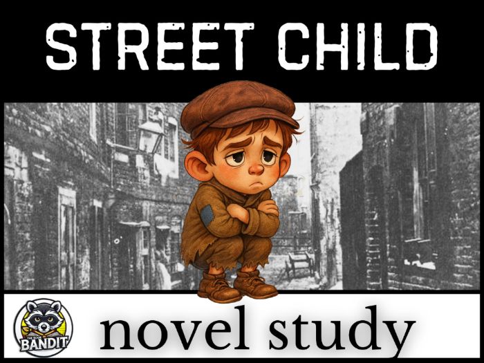 STREET CHILD by Berlie Doherty NOVEL STUDY and Literacy Unit