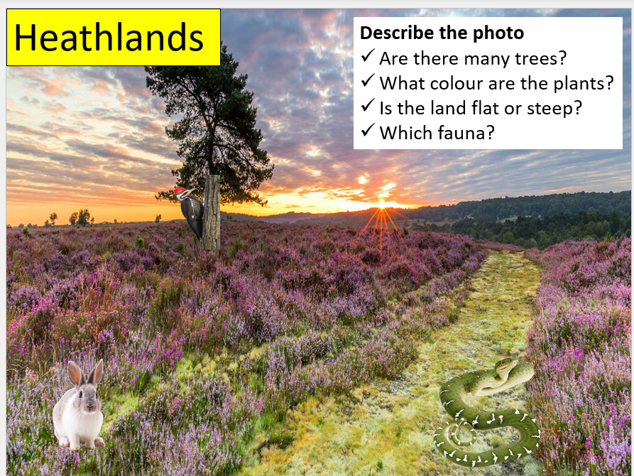 UK's Terrestrial Ecosystems - Geography