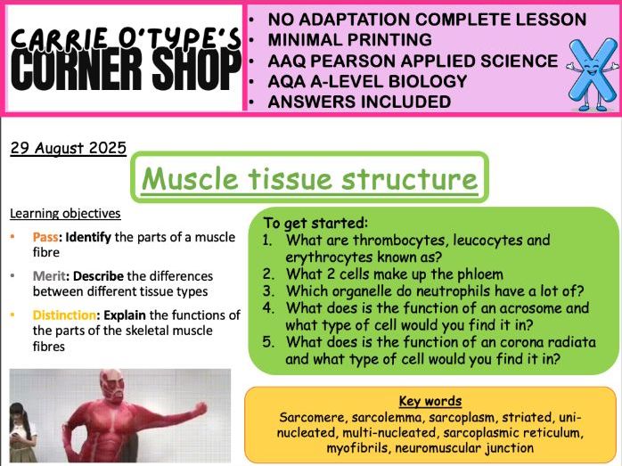 Muscle Fibres and Tissues - AAQ Pearson Applied Science