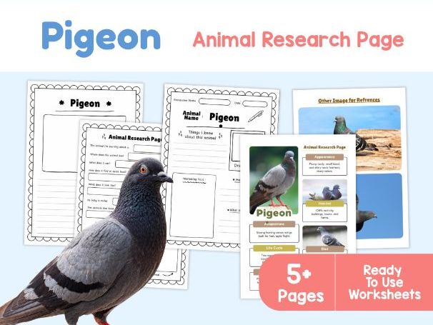 Pigeon Research Project | Bird Adaptations and Life Cycle