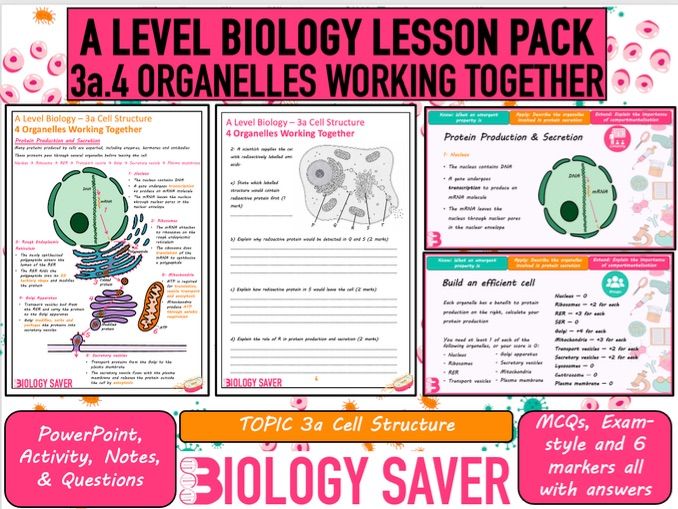 A Level Bio Lesson - 3a.4 Organelles Working Together