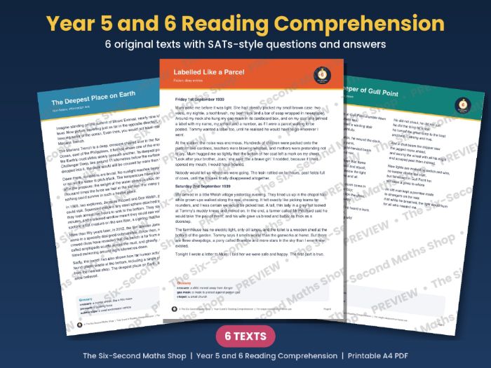 Year 5 and 6 Reading Comprehension - 6 Original Texts with SATs-Style Questions