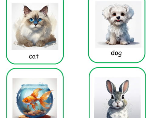 Basic vocabulary flashcards