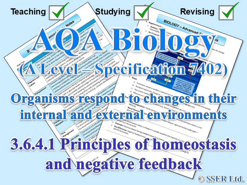 BIOA_AQA Topic Notes: 3.6.4.1 Principles of homeostasis and negative feedback