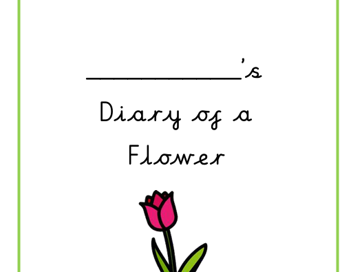 KS1 Planting a seed - Plant booklet