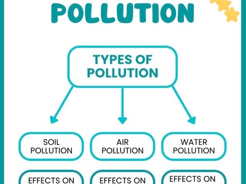 Effects of Pollution on Humans and Animals – Lesson & Differentiated Worksheet