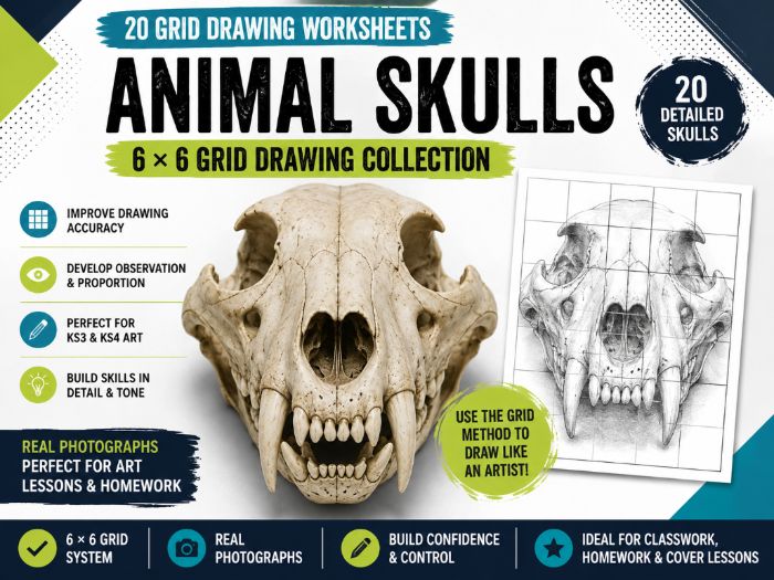 Animal Skulls Grid Drawing Worksheets | 20 × 6x6 Drawing Activities | KS3 KS4 Art