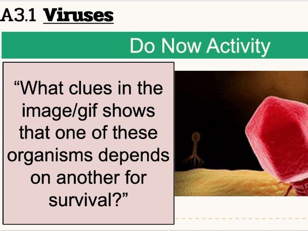 IBDP Biology A2.3 Viruses