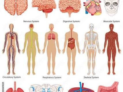 Student booklet for LAB Unit 2
