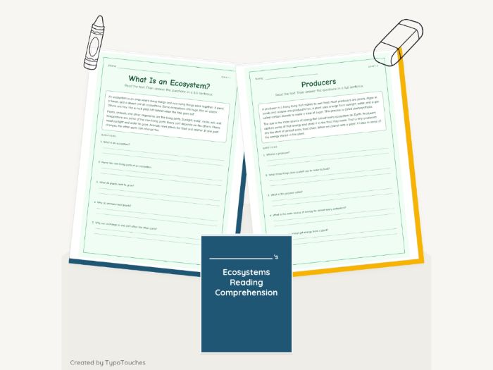 Ecosystems Reading Comprehension | 10 Sheets
