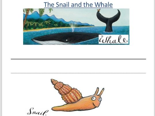 Snail and the whale descriptive writing year 1