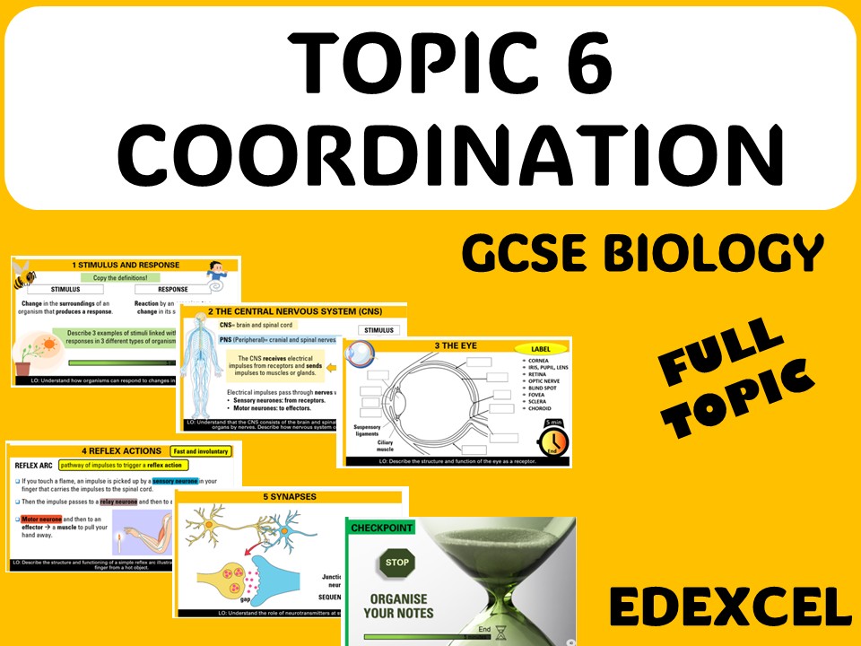 Coordination- GCSE FULL UNIT EDEXCEL