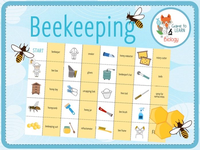 Beekeeping - Loop Game (KS3/4)