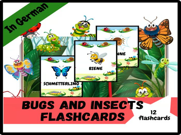 Bugs and Insects Vocabulary Flashcards: Printable Photo Cards for kids/German