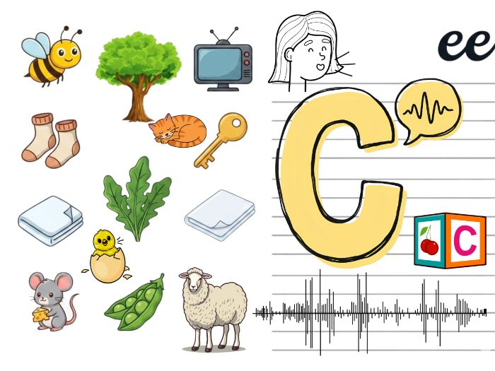 Phonics Sound Game ee, ay ...