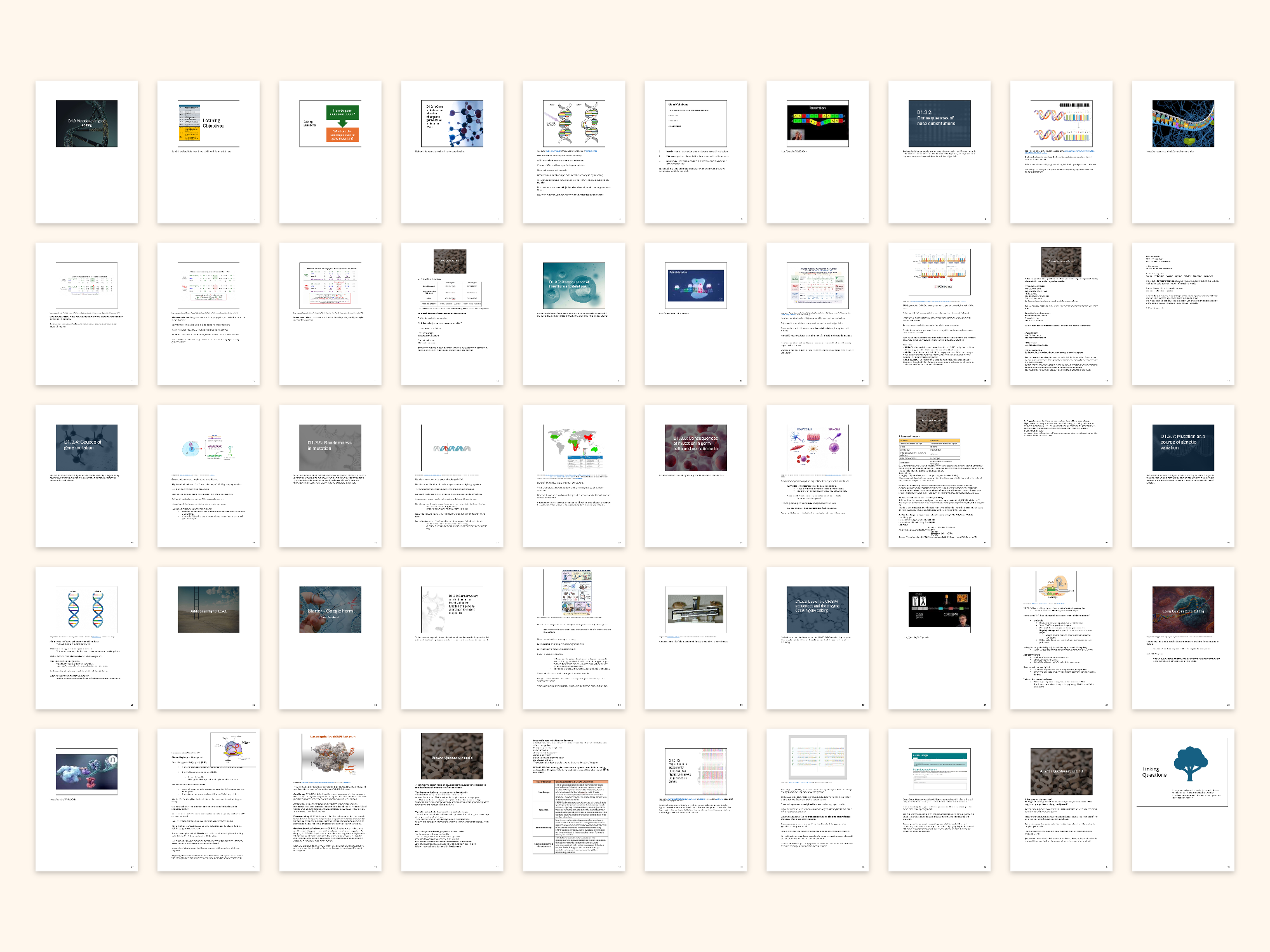 pdf, 4.01 MB