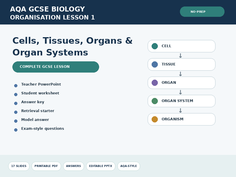AQA GCSE Biology Organisation Lesson | Cells, Tissues, Organs & Organ Systems