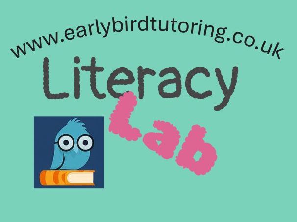 SKELLIG Literacy Shed Vipers - Full Unit - Comprehension Questions with the ANSWERS!