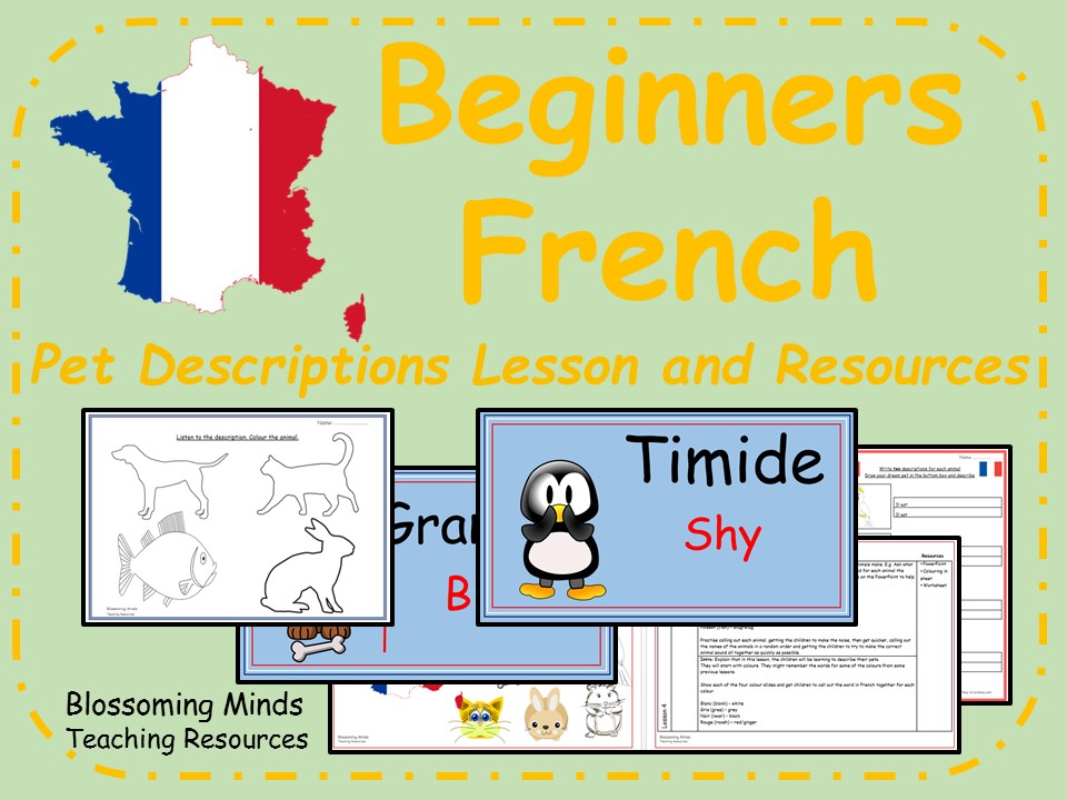 French lesson and resources - Pet descriptions