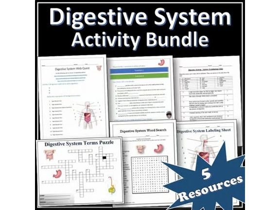 Digestive System - Science Activity Bundle | Webquest | Puzzles | EDITABLE