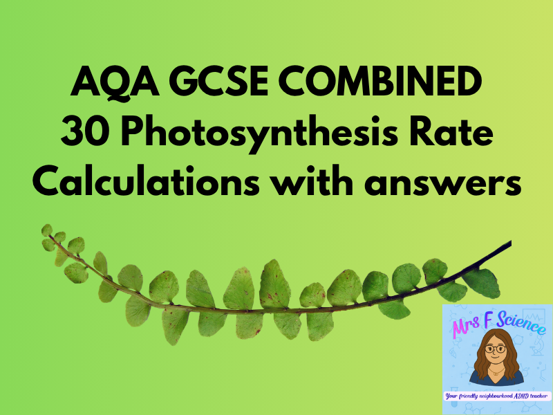 AQA GCSE Biology Photosynthesis Calculations Worksheet | Exam Practice + Answers