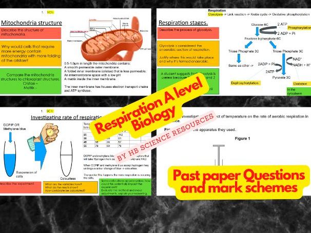 Respiration A level Biology