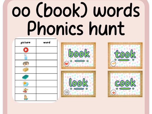 oo- book- Phonics word hunt- continous provision