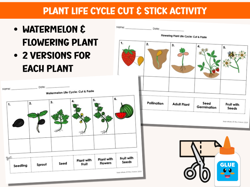 Plant Life Cycles Cut & Stick - FREE