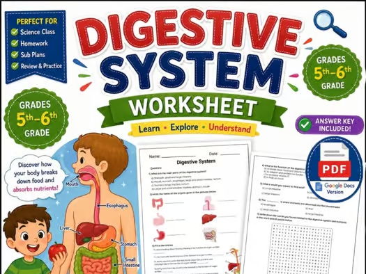 Digestive System Word Search | Human Digestive System