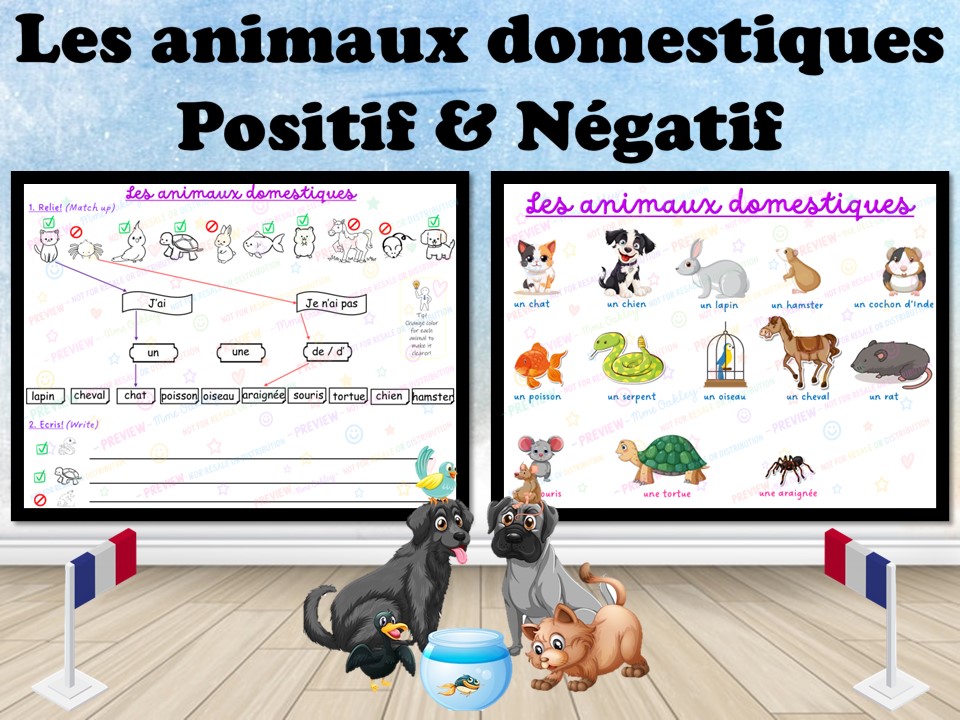 Les animaux domestiques | French pets | Positive and negative