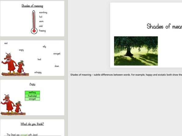 Y1 English Interview Lesson Example - shades of meaning