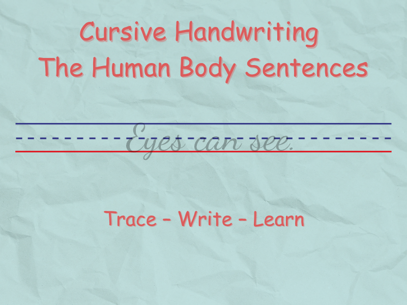 Cursive Handwriting – The Human Body Sentences | KS2 Science Writing Practice