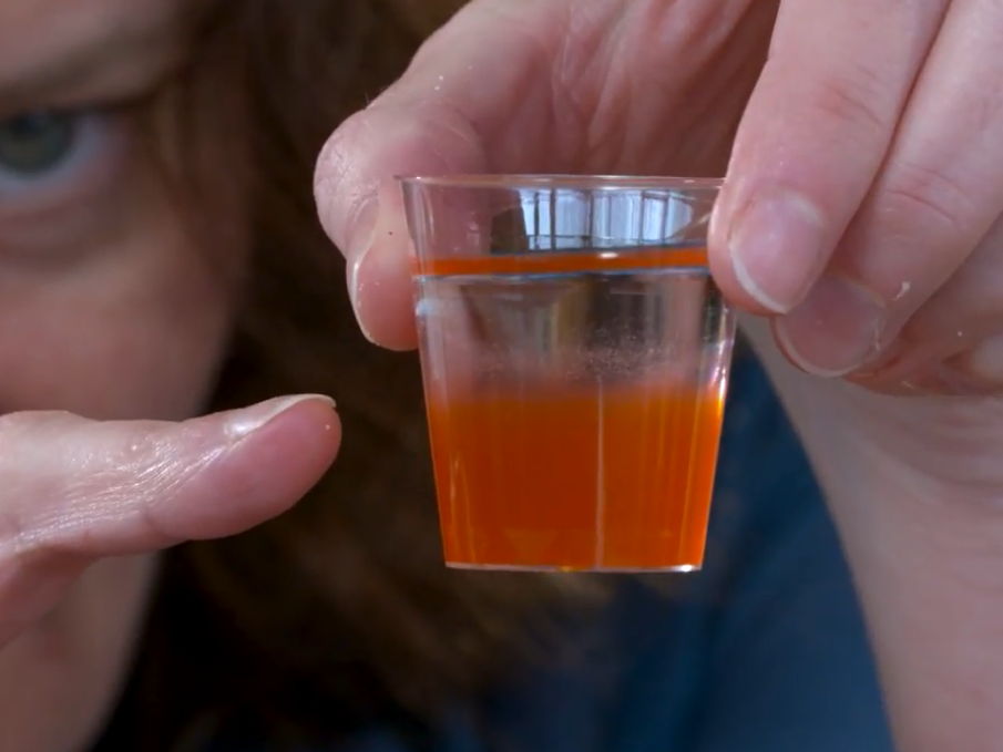 A Level Biology: Strawberry DNA Extraction Practical Lesson (PPT, Worksheet & 2 Videos)